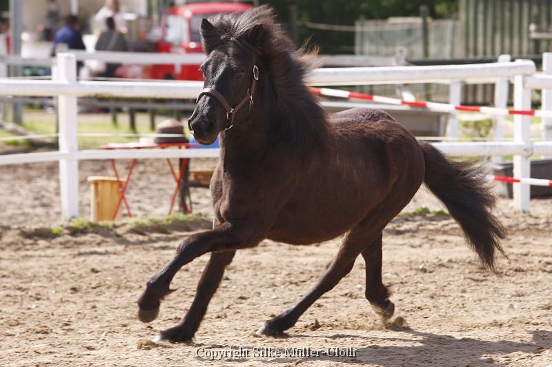 Alvar fra Stora Hofi (6).JPG